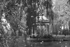 lago