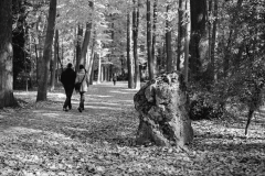 paseo