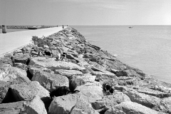 pesca-con-sardinas