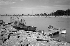 rioii