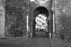 puertas toledo