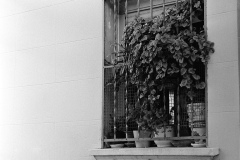 ventana